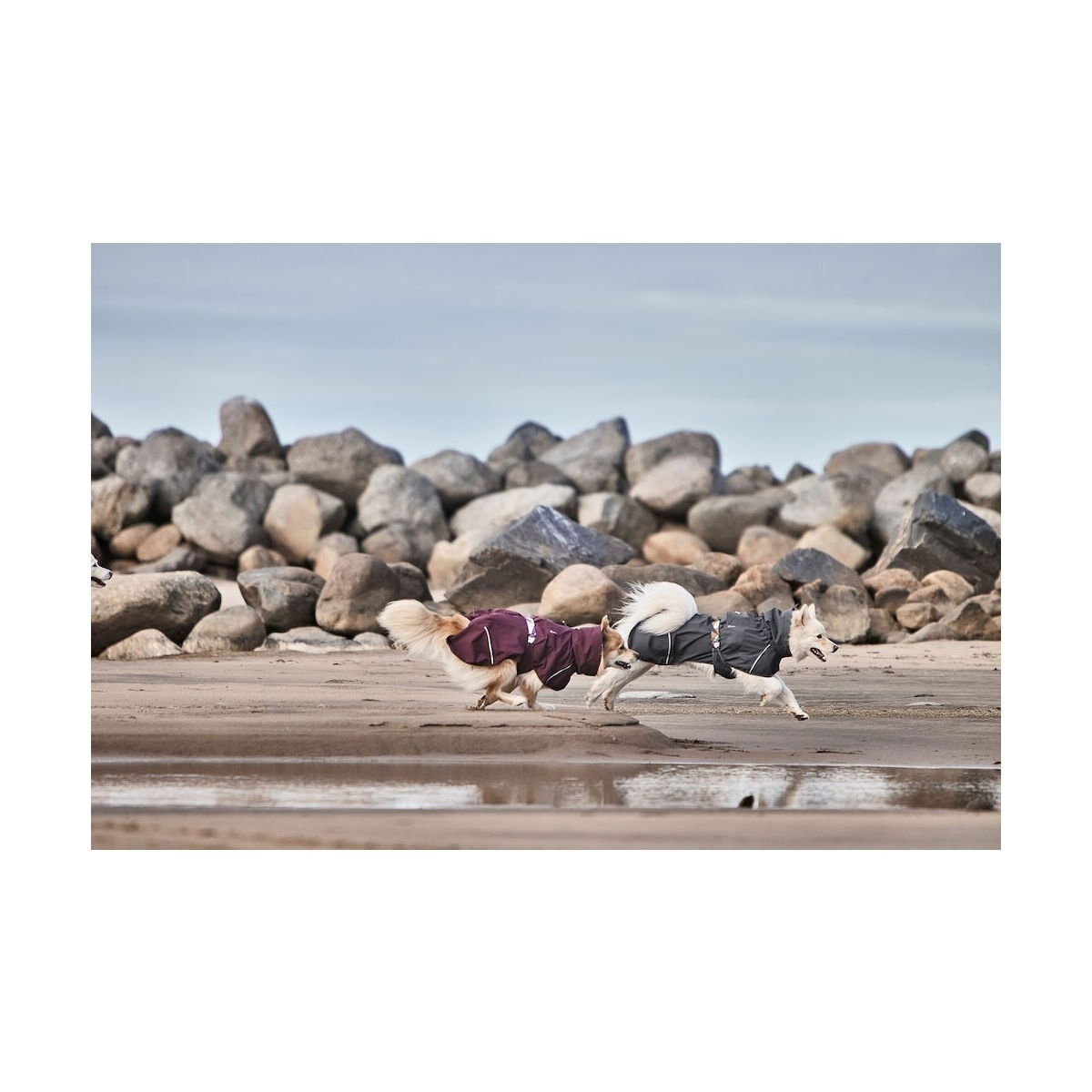 Hurtta Mudventure ECO sadetakki harmaa