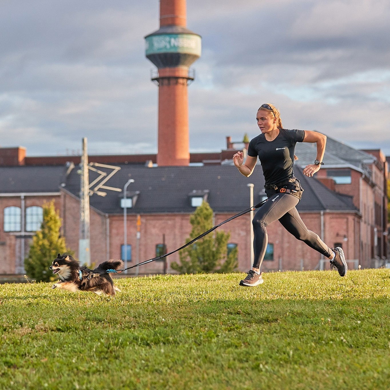 Non-stop Touring Bungee Leash 3.8m