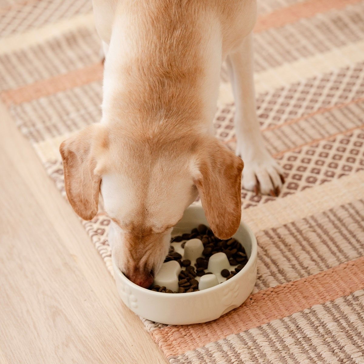 Scruffs Icon keraaminen ahmimisenestokuppi kermanvalkoinen