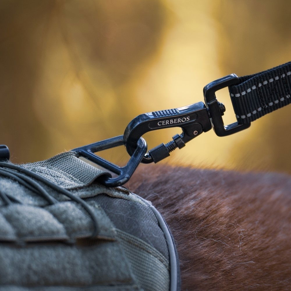 Cerberos talutin musta 3m