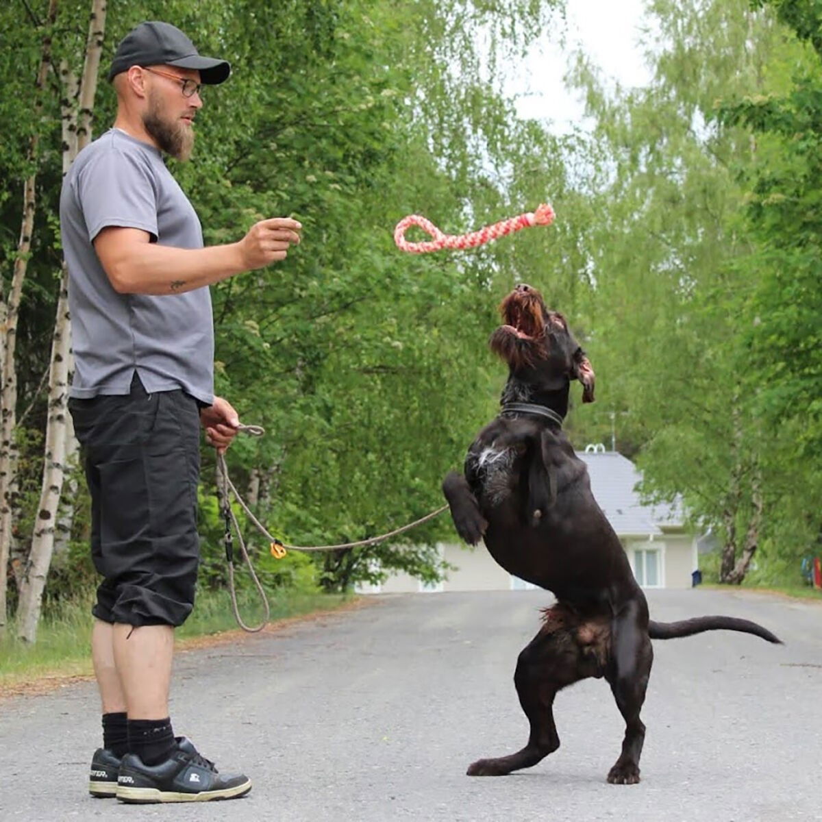 FinNero Taavi training toy