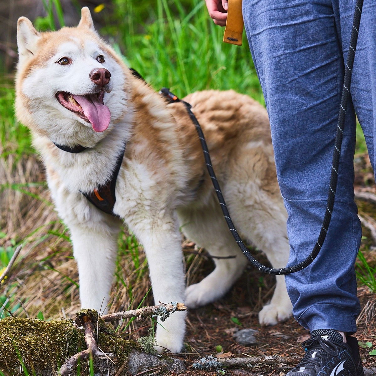 Non-Stop Rock säädettävä hihna musta