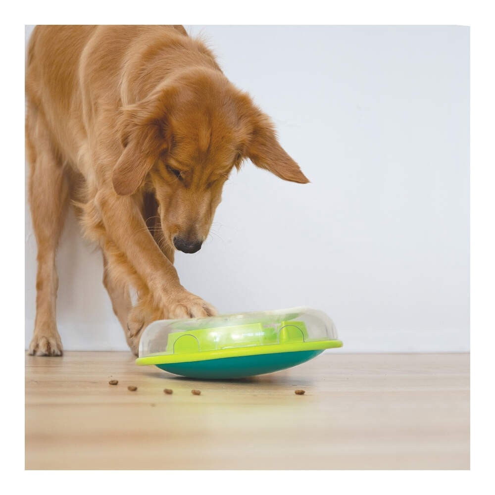 Nina Ottosson Dog Wobble Bowl lime