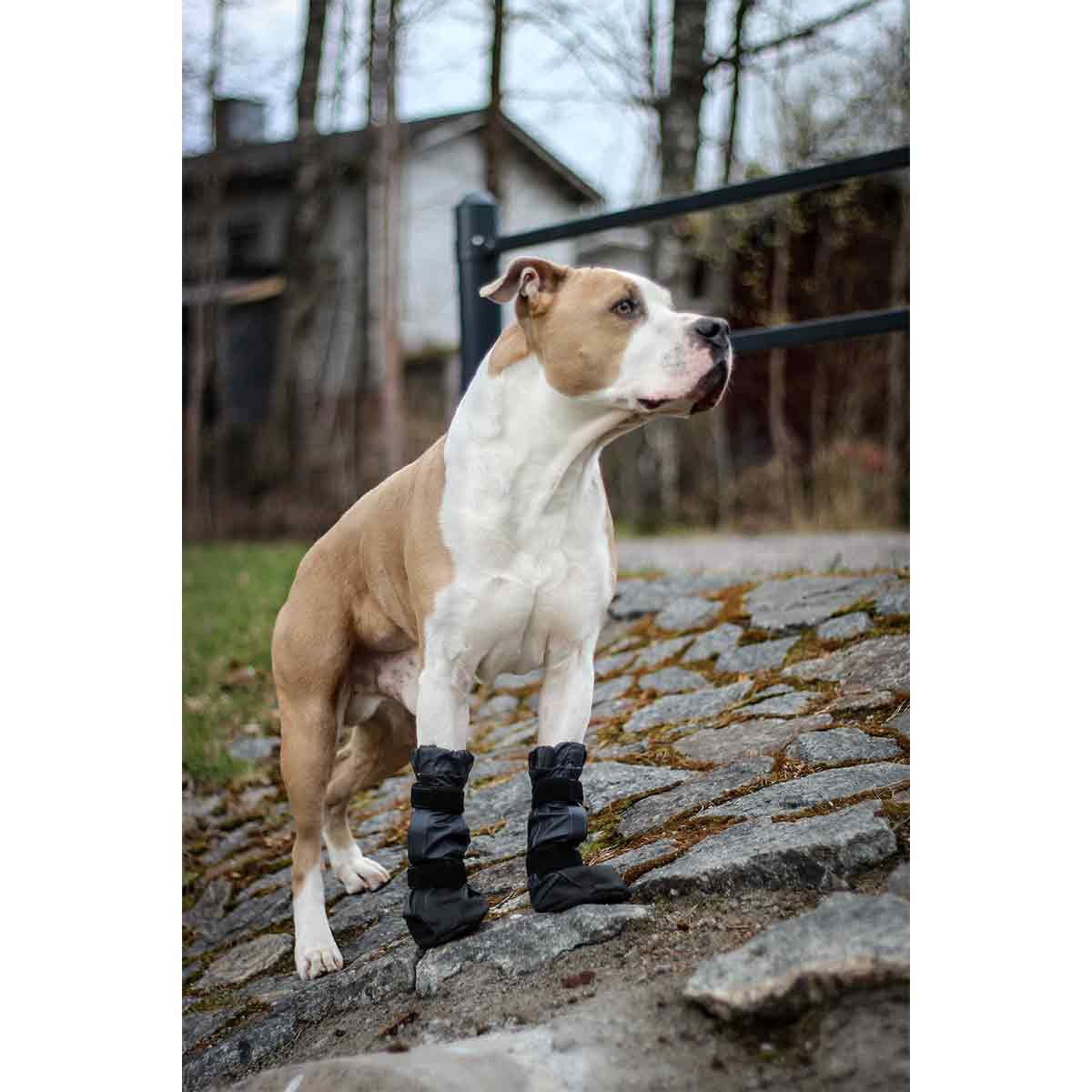 FinNero Kura suojatossut 2kpl, harmaa