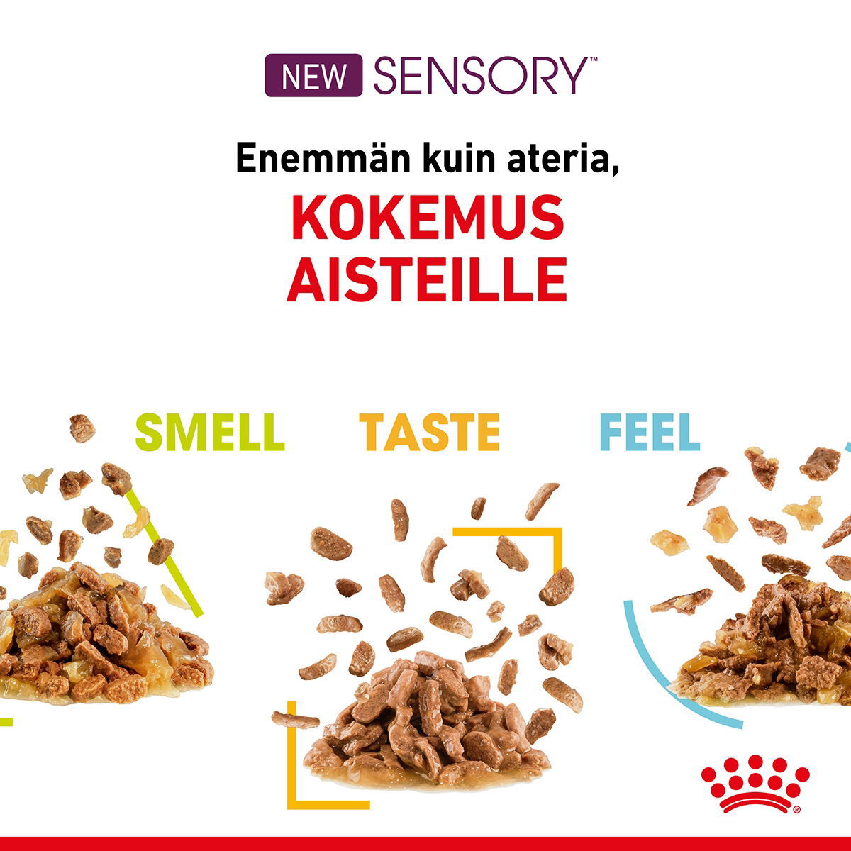 Royal Canin Sensory Feel Gravy Adult kissan märkäruoka