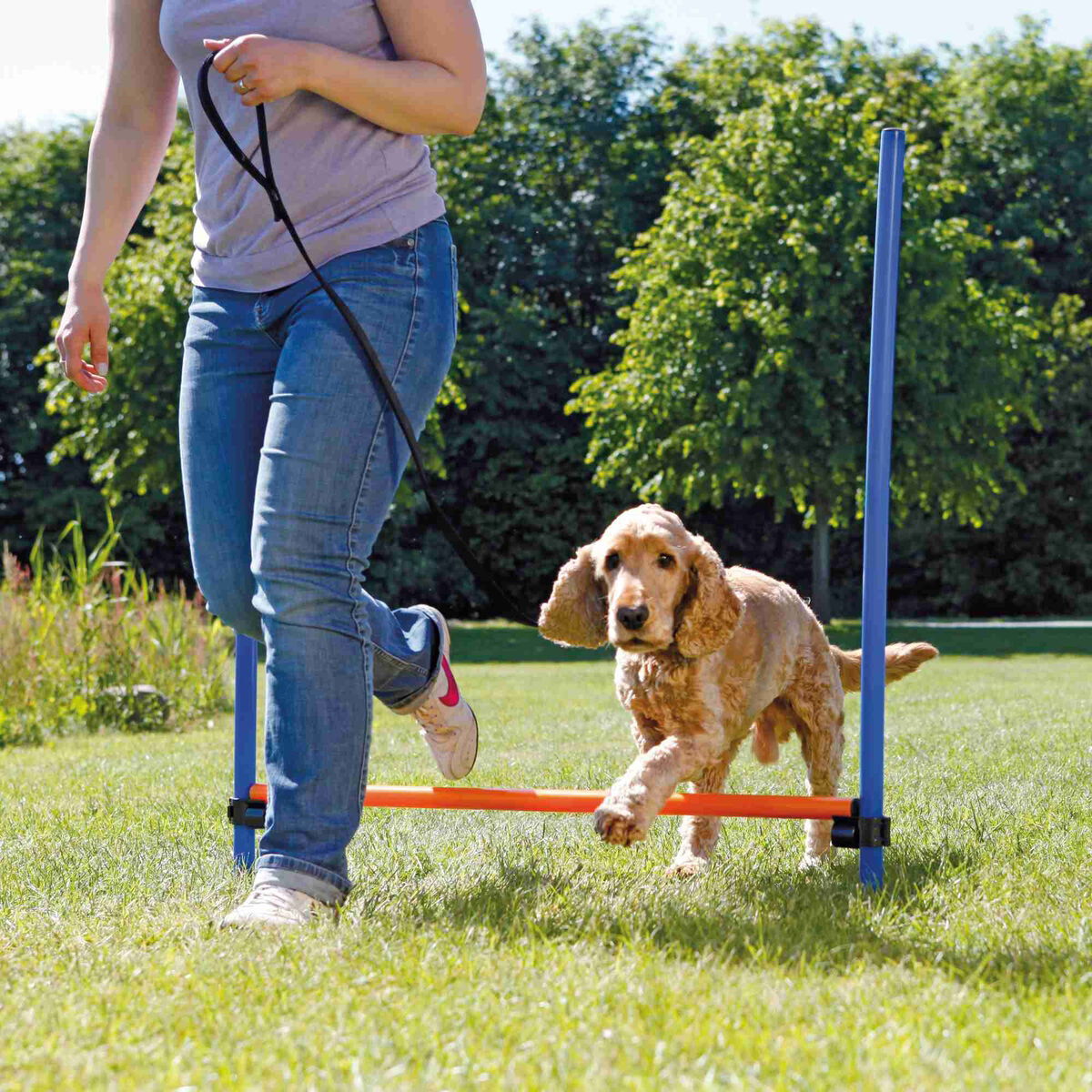 Agility aitaeste Trixie 123 x 115 cm