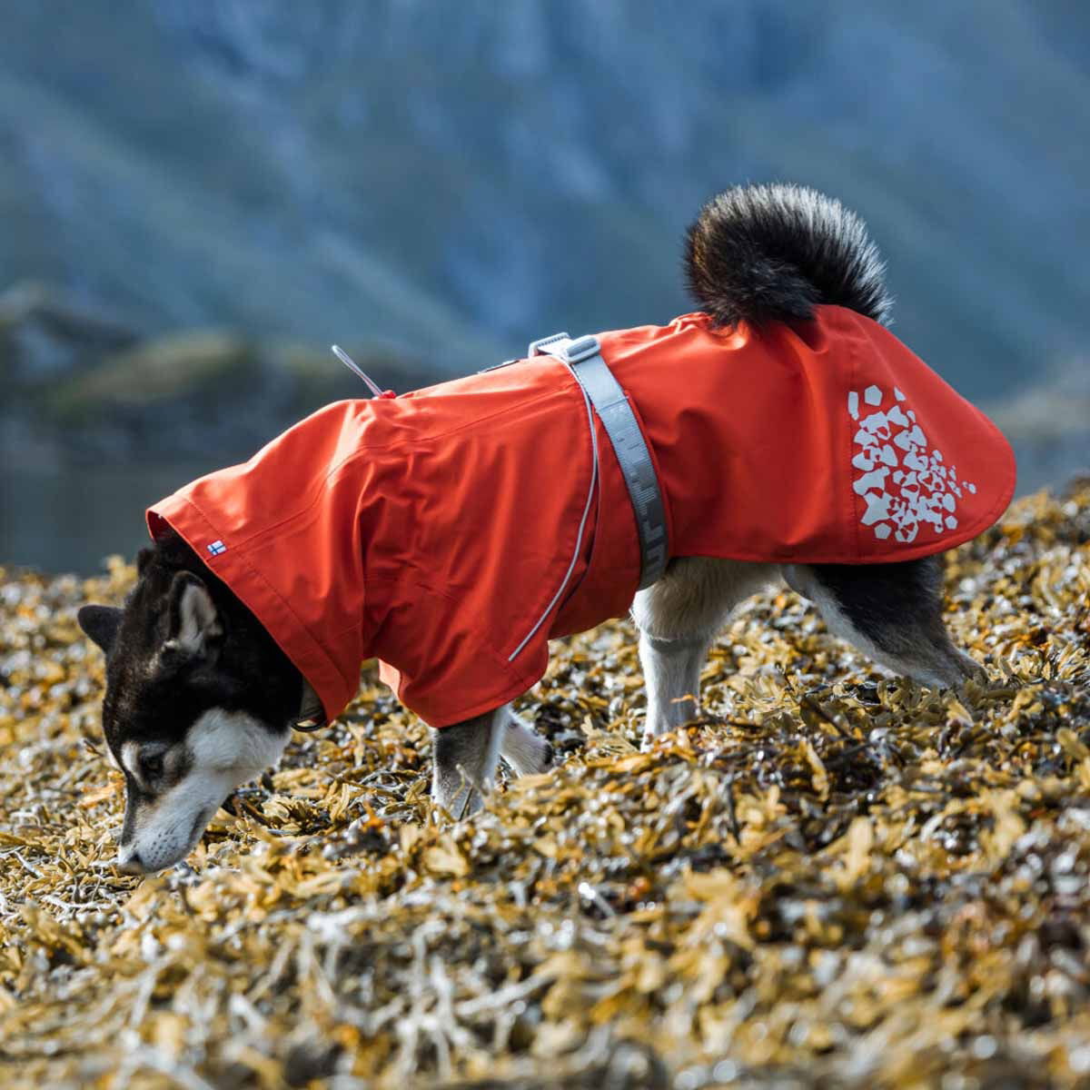 Hurtta Monsoon ECO sadetakki ruusunmarja