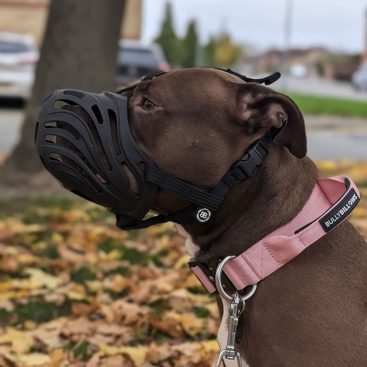 BullyBillows Flexible Muzzle