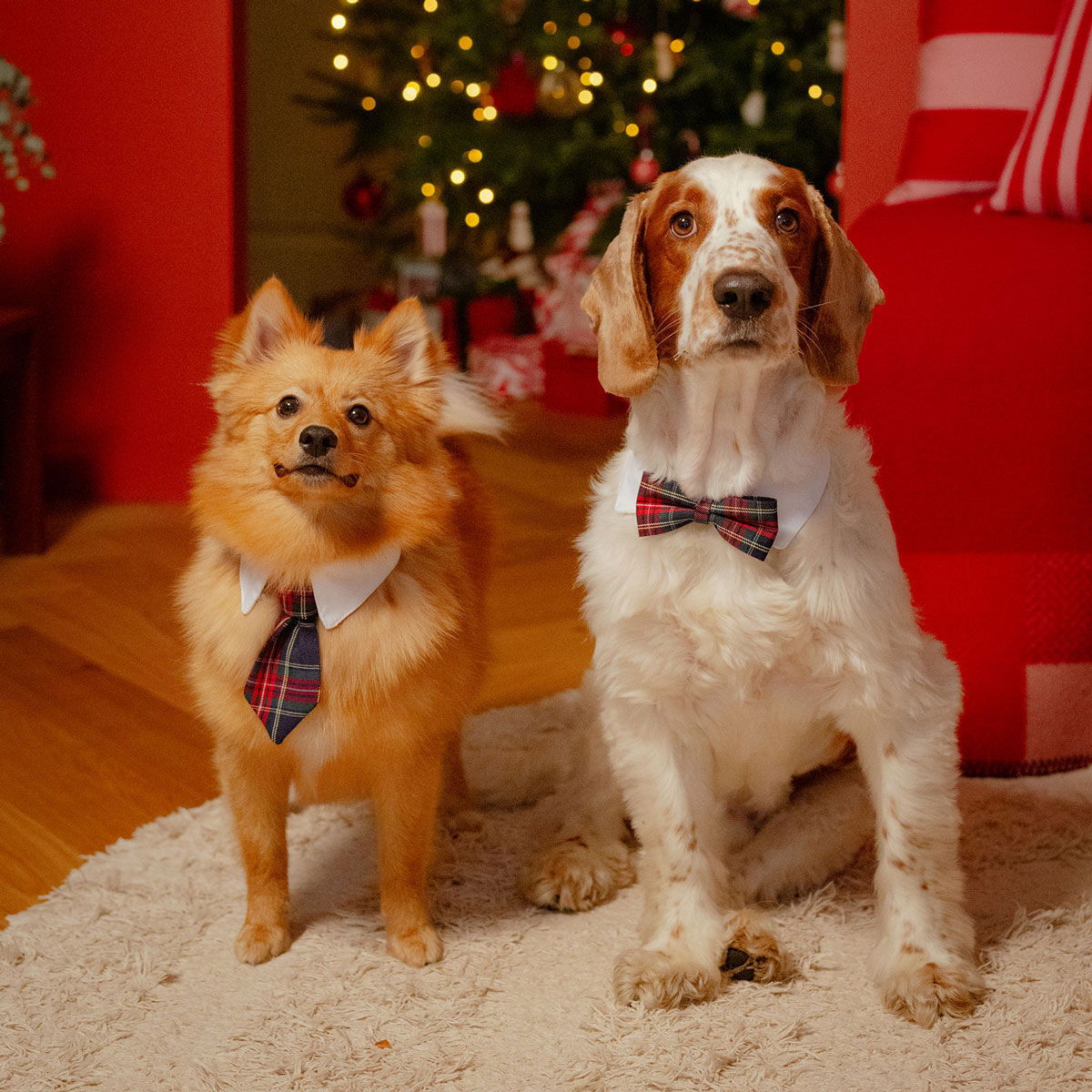 Little&Bigger Xmas Necktie solmio ruutukuosi