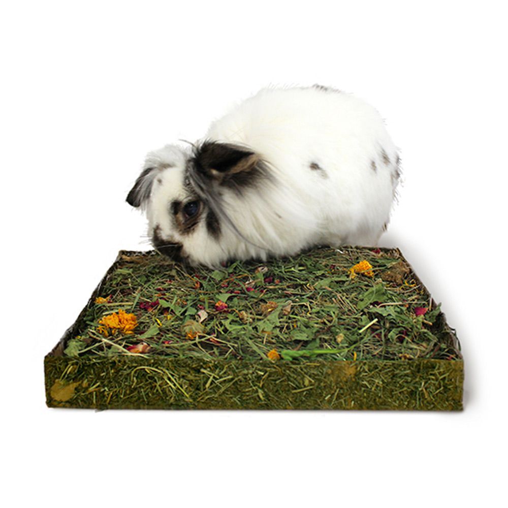 Rosewood Nibble'n'Dig herkkuniitty