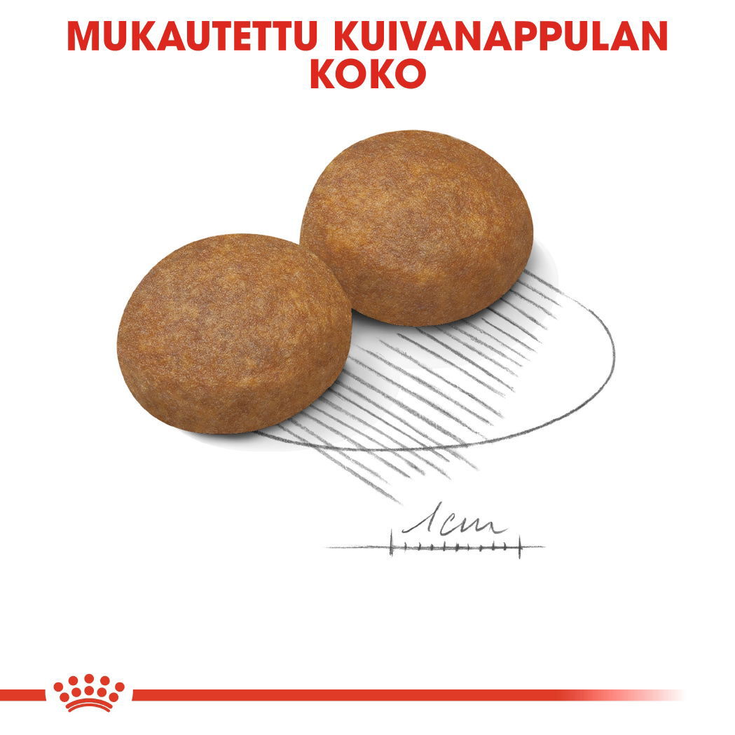 Royal Canin Maxi 5+ Adult koiran kuivaruoka