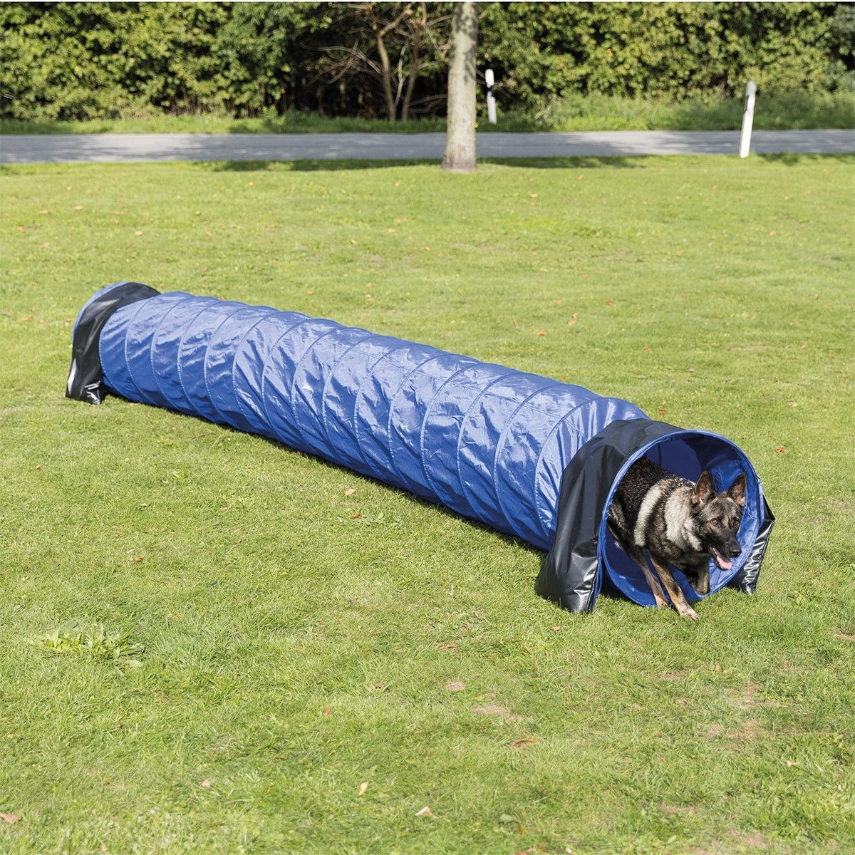 Agility tunnelieste Trixie 60 cm x 5 m