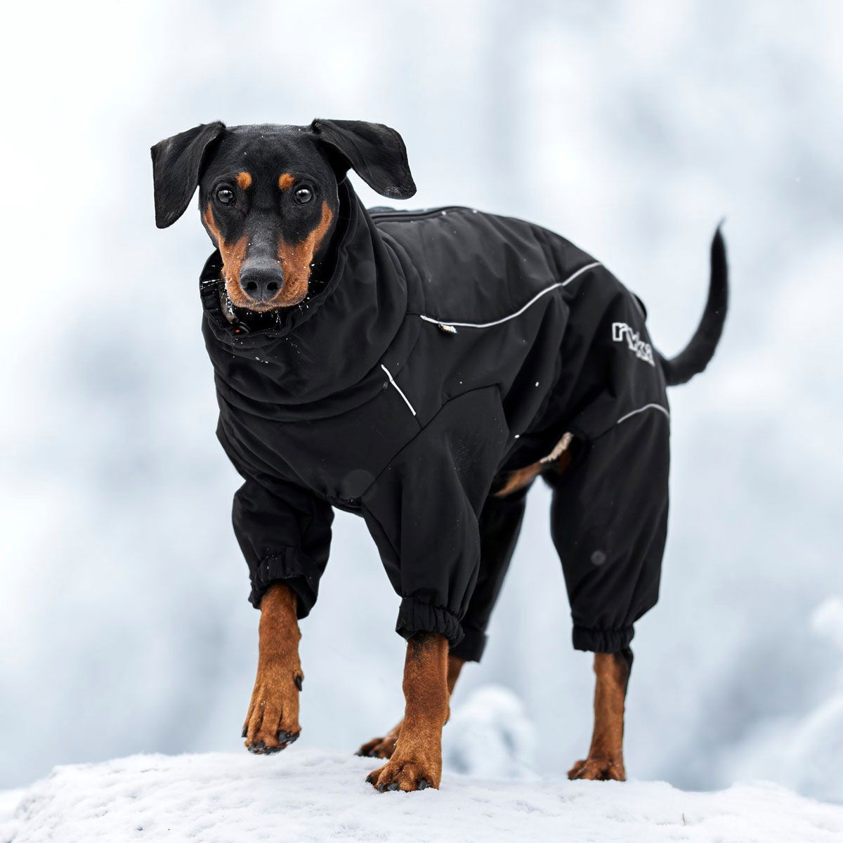 Rukka Thermal softshell haalari musta