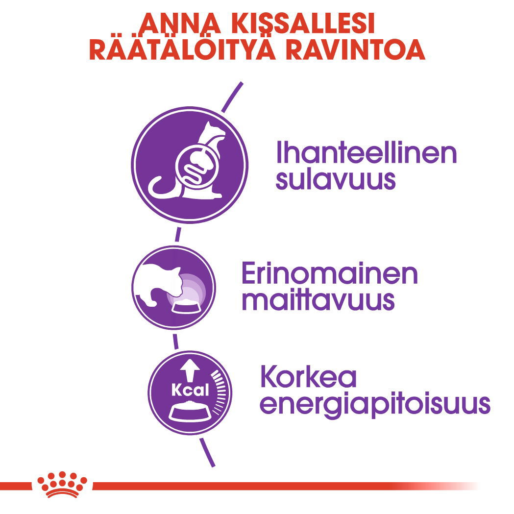 Royal Canin Sensible Adult kissan kuivaruoka