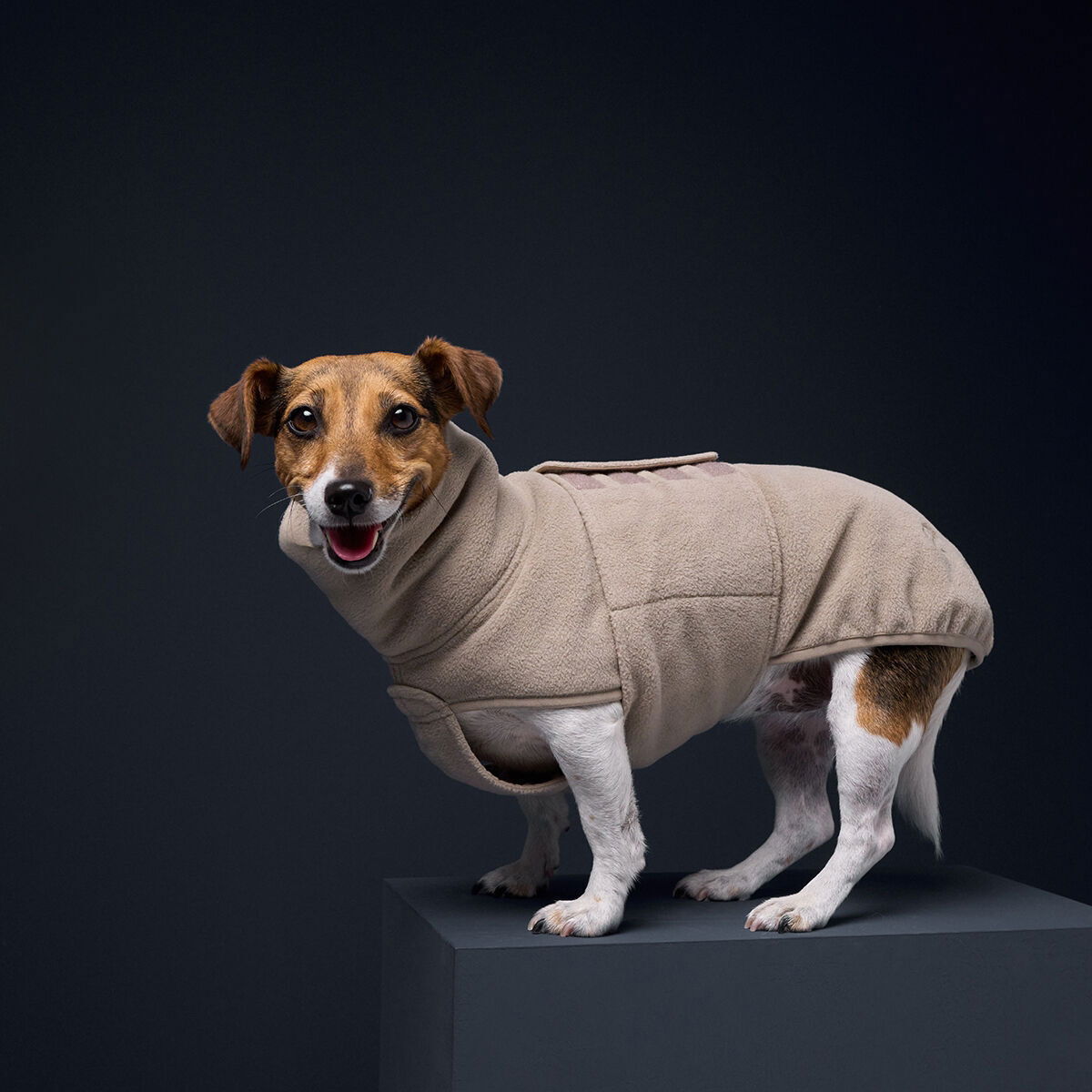 Cloud7 Dog Sweater Gotland, Beige