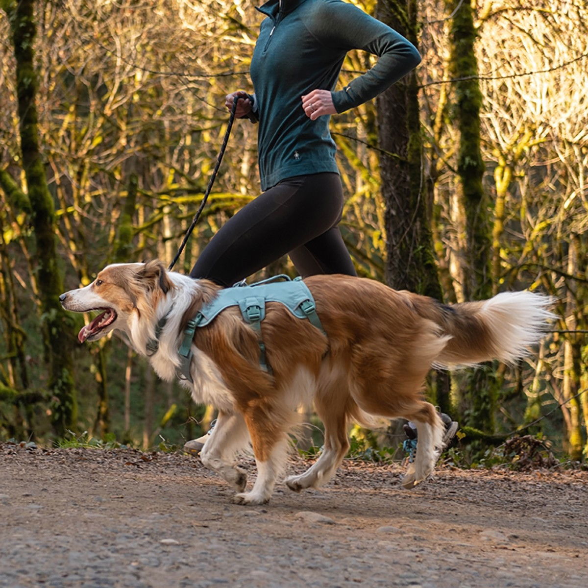 Ruffwear Web Master valjas vihreä