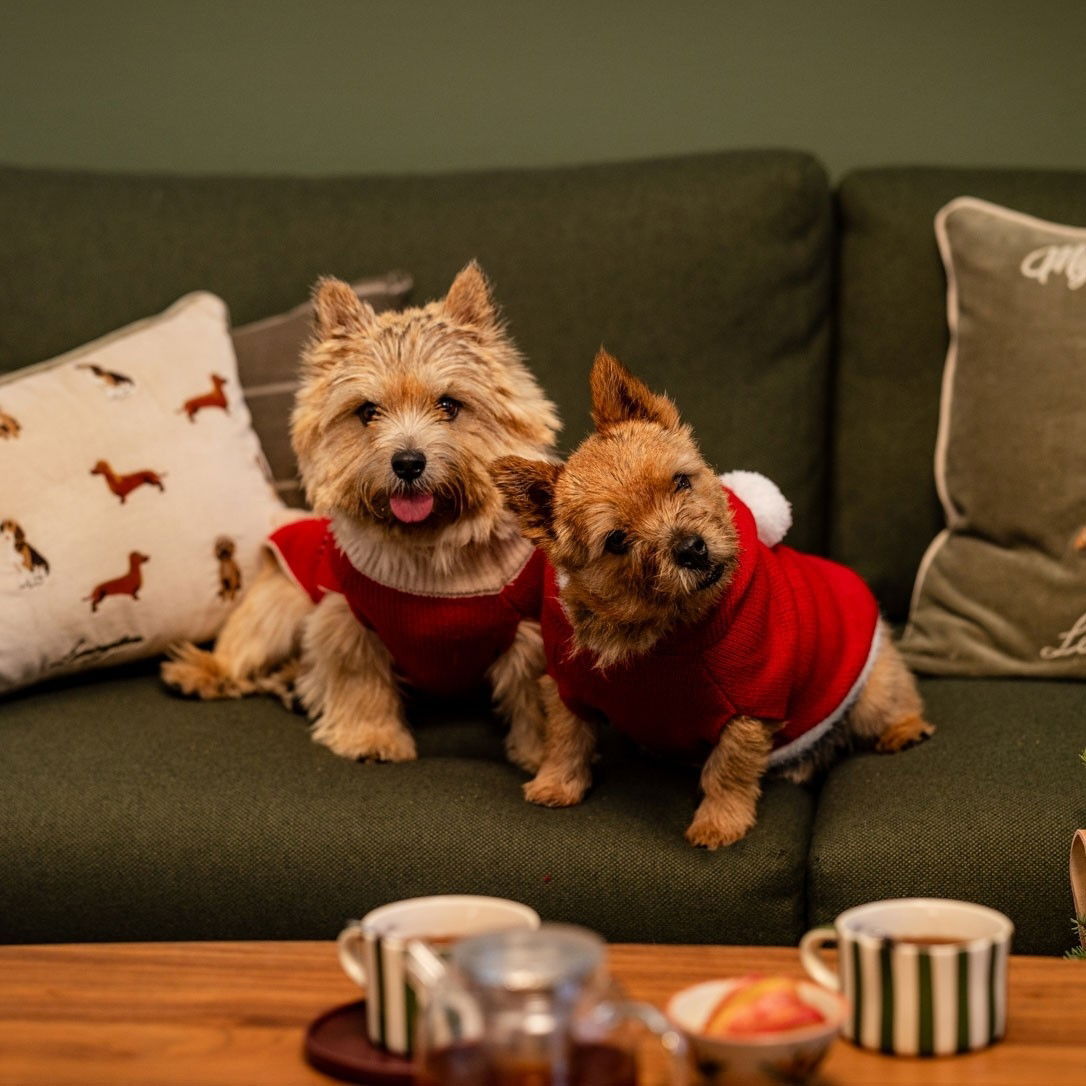 Little&Bigger Nostalgic neule punainen