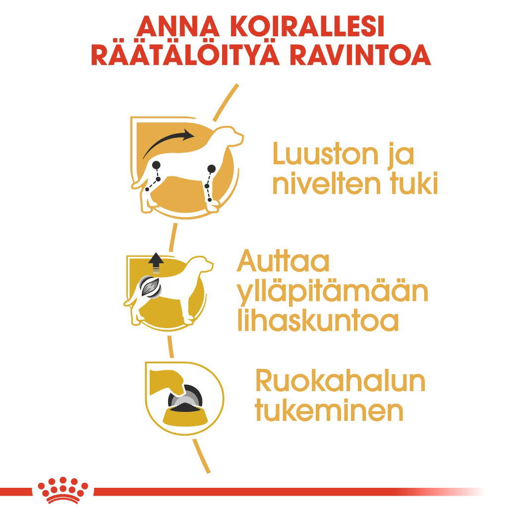 Royal Canin Dachshund Adult Loaf koiran märkäruoka