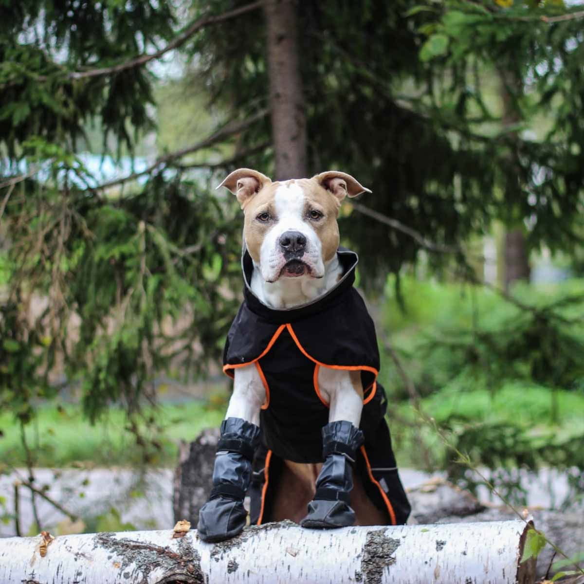 FinNero Kura suojatossut 2kpl, harmaa