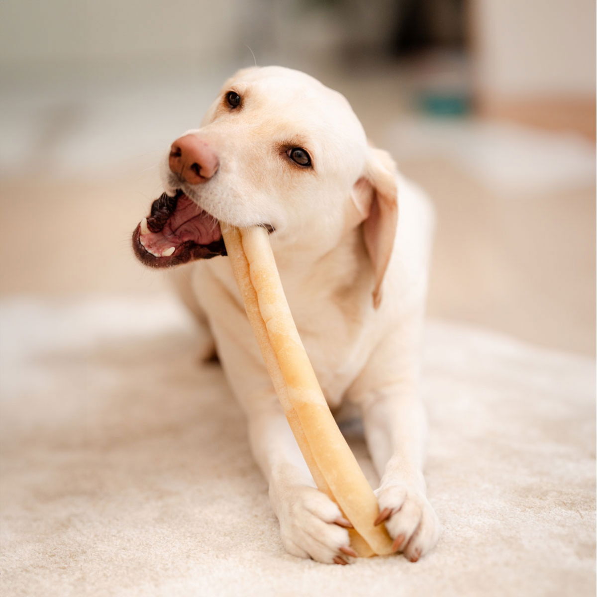 POCCA European Naudannahkaluu 37cm