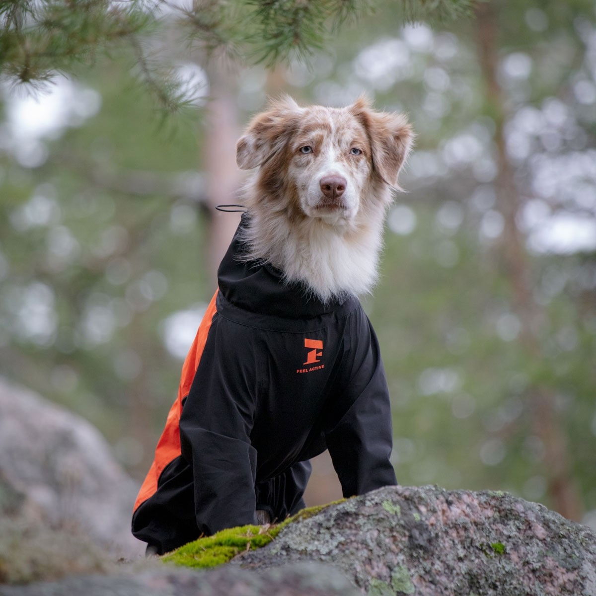 Feel Active Helsingborg ref haalari