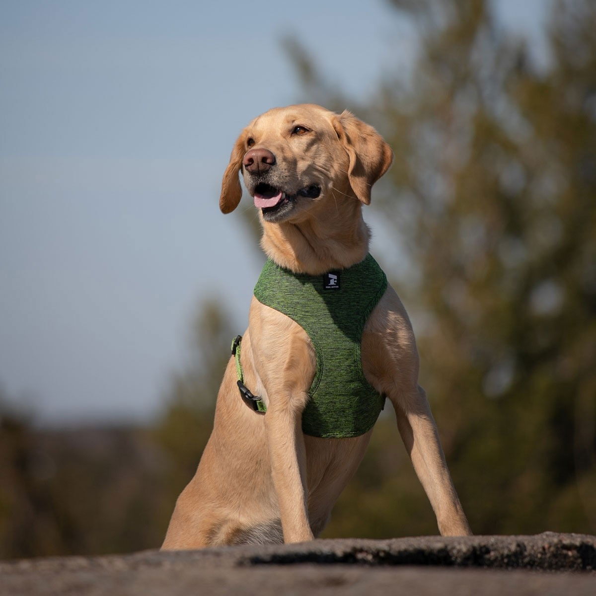 Feel Active Soft valjas metsänvihreä