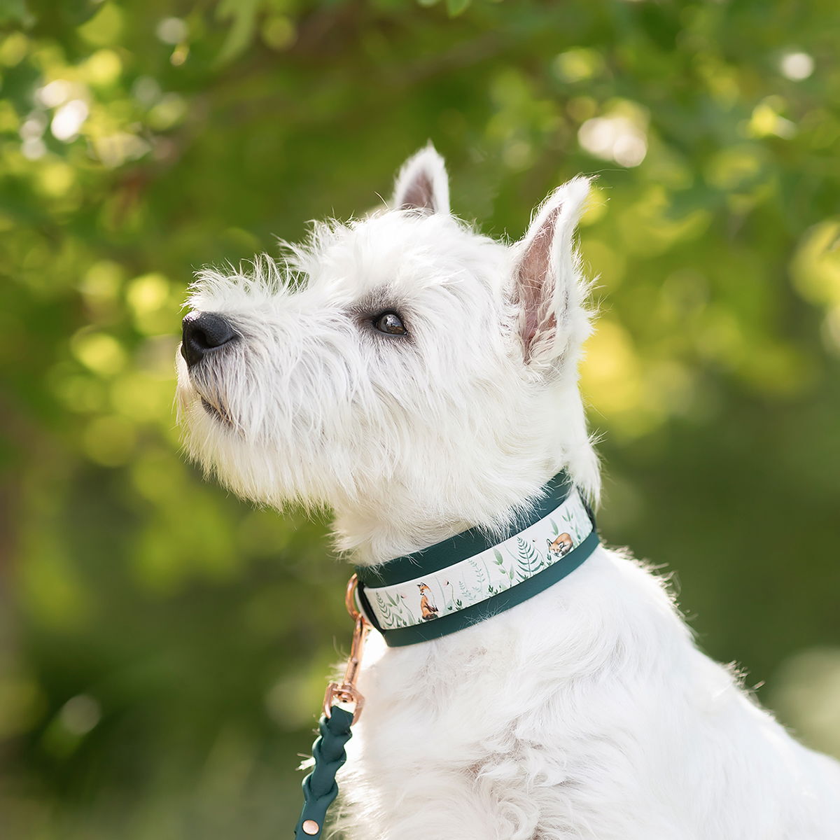 Tyylivoitto collar extender, emerald