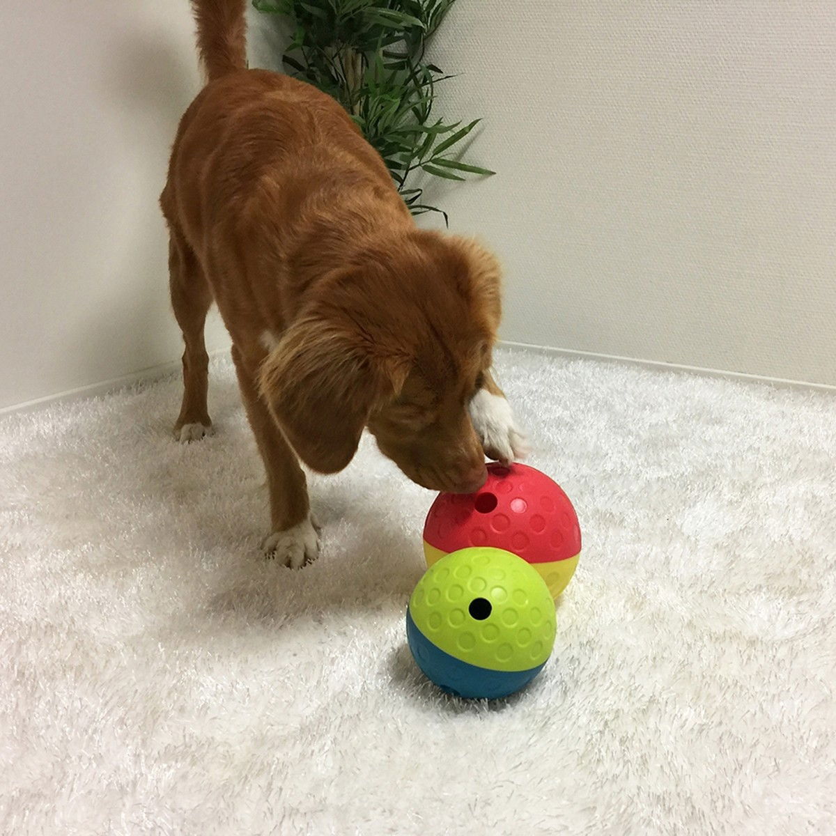 Nina Ottosson Treat Tumble -aktivointilelu punainen L