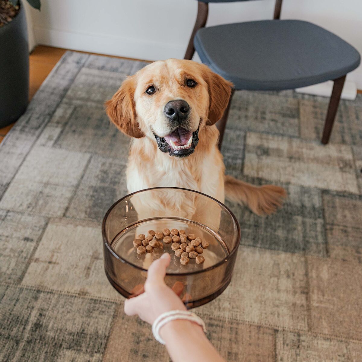 Glass bowl District 70, Dawn Champagne