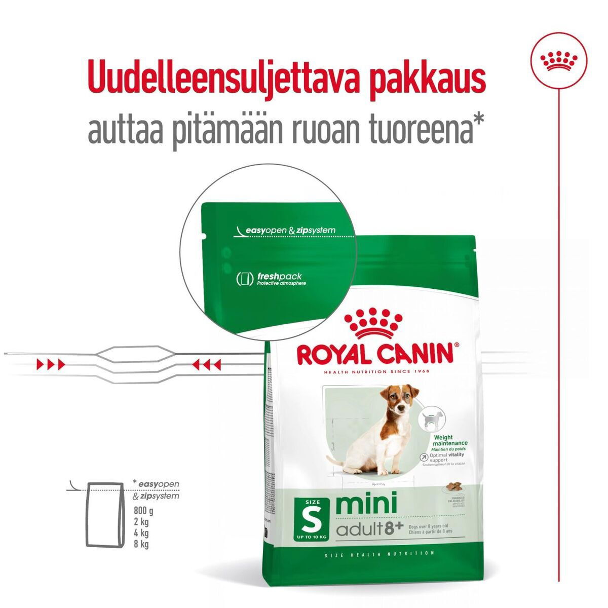 Royal Canin Mini Adult 8+ koiran kuivaruoka