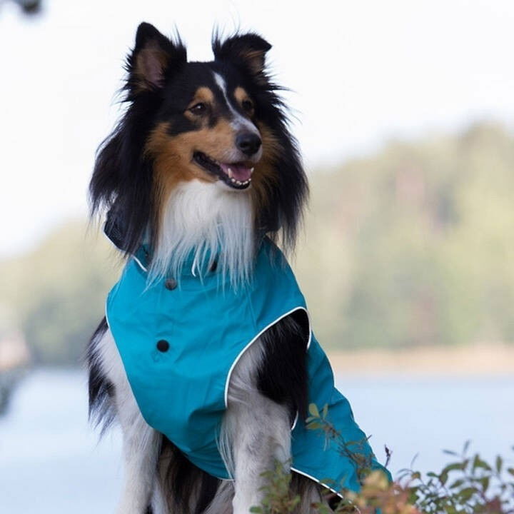 Rukka Stream koiran sadetakki sininen