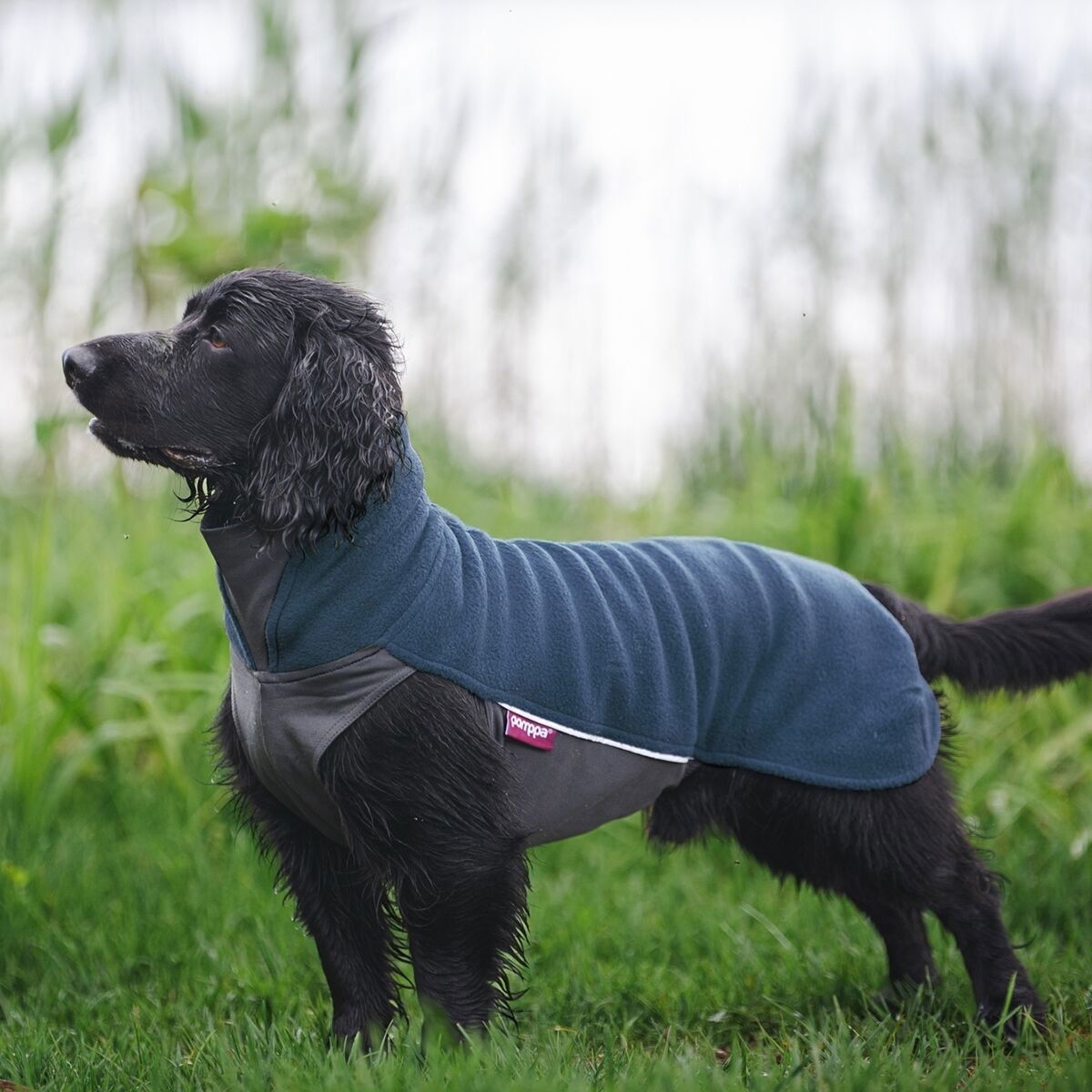 JumppaPomppa Midnight