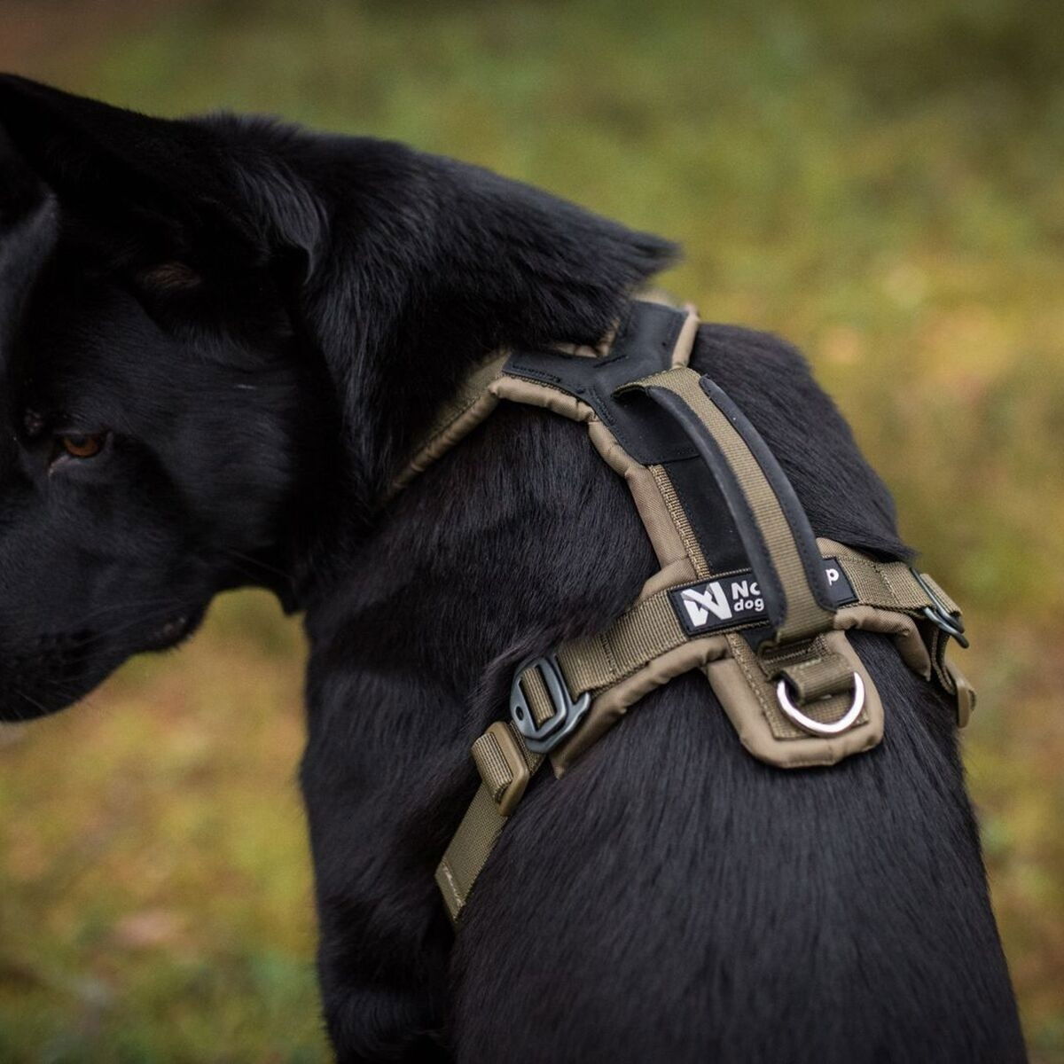 Non-Stop Line harness grip defense, green
