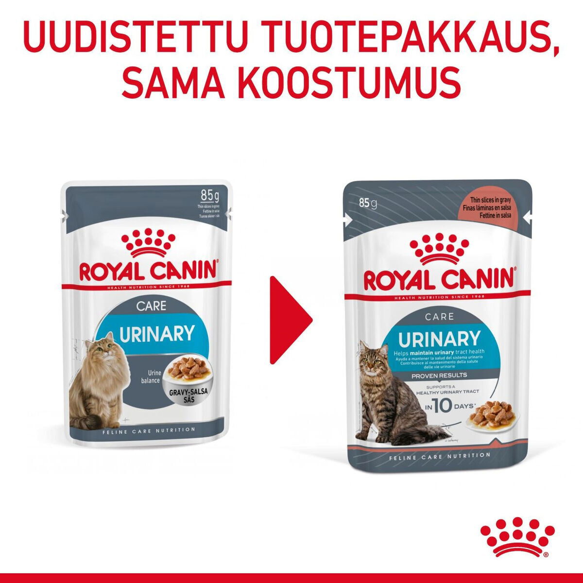 Royal Canin Urinary Care Gravy Adult kissan märkäruoka