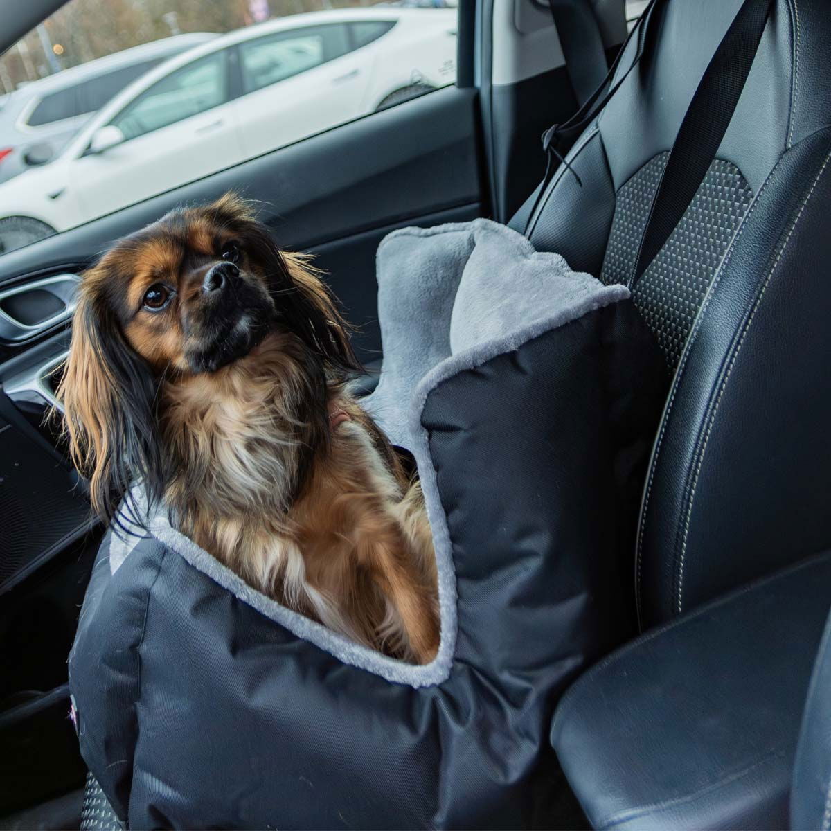 Pehmeä autoistuin koiralle Trixie