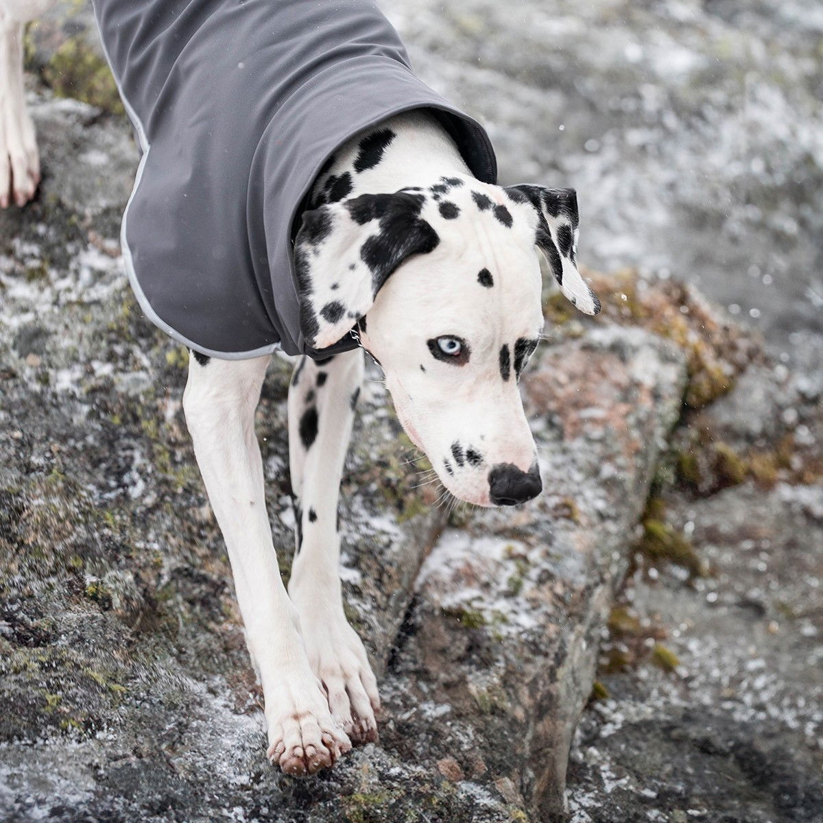 SporttiPomppa Graphite