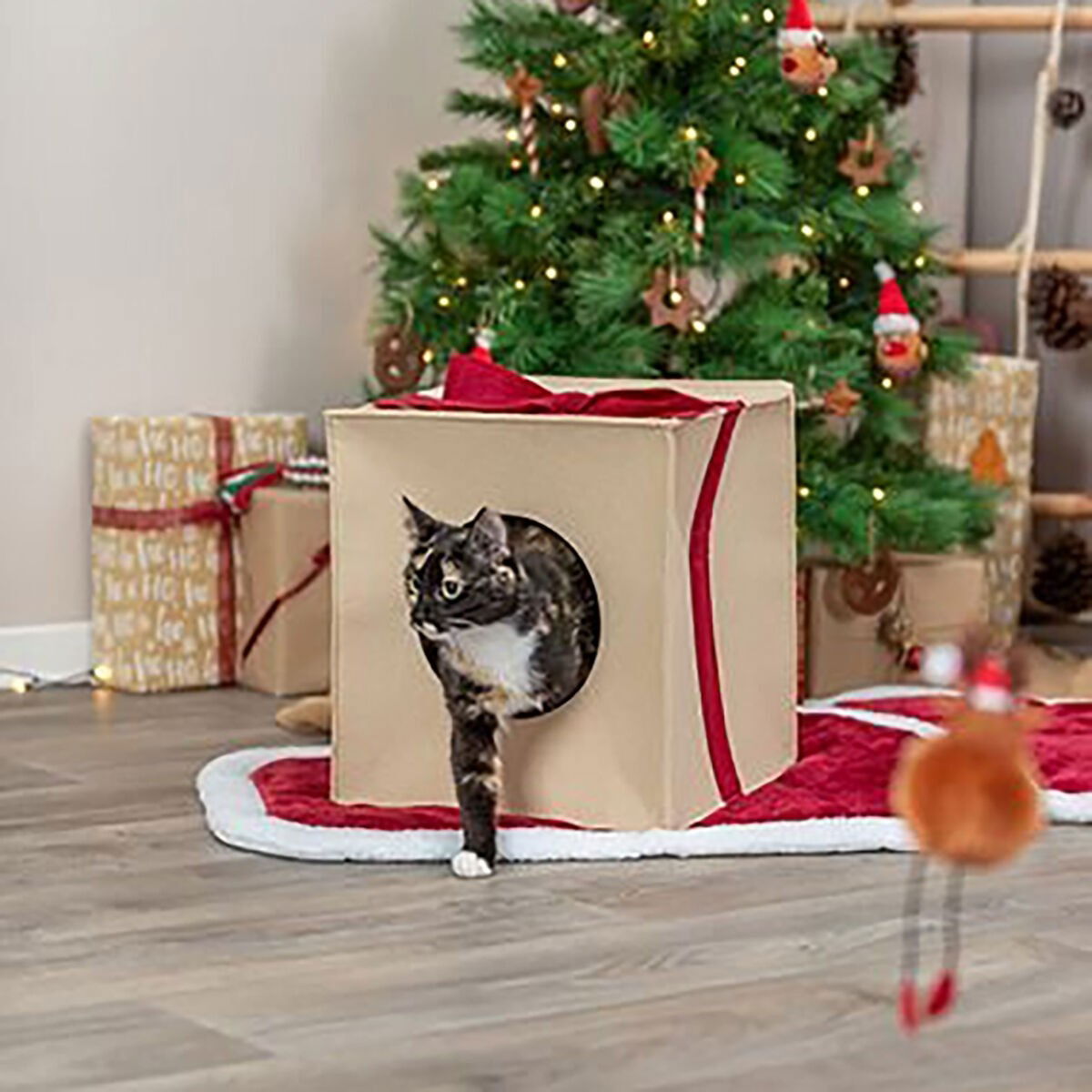 Trixie Cave present, felt