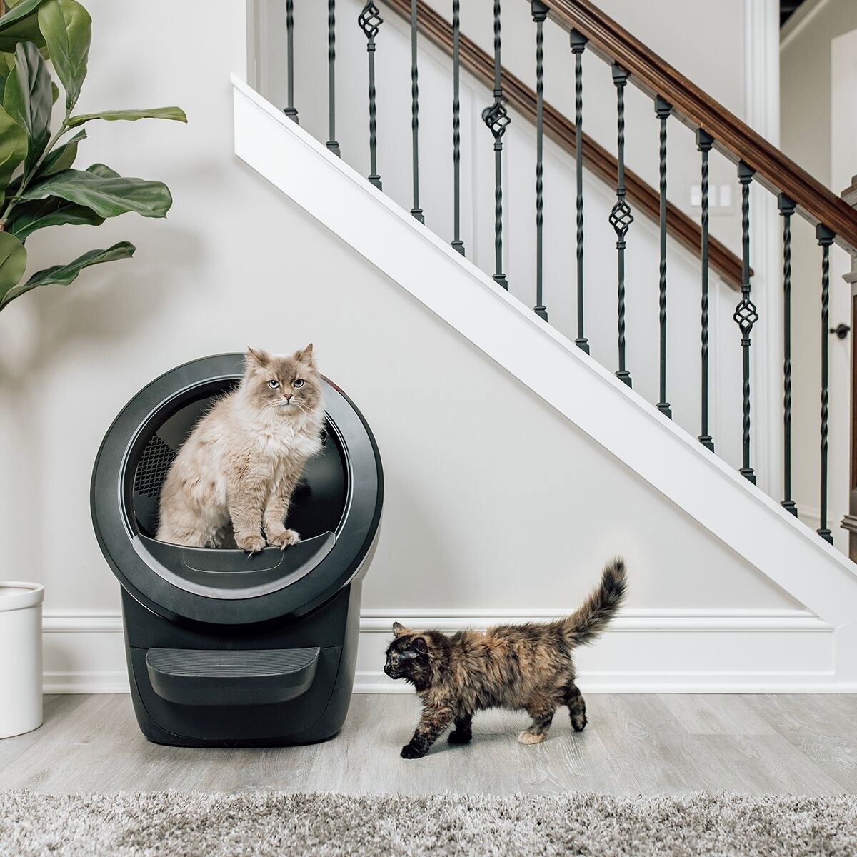Whisker Litter-Robot 4, black