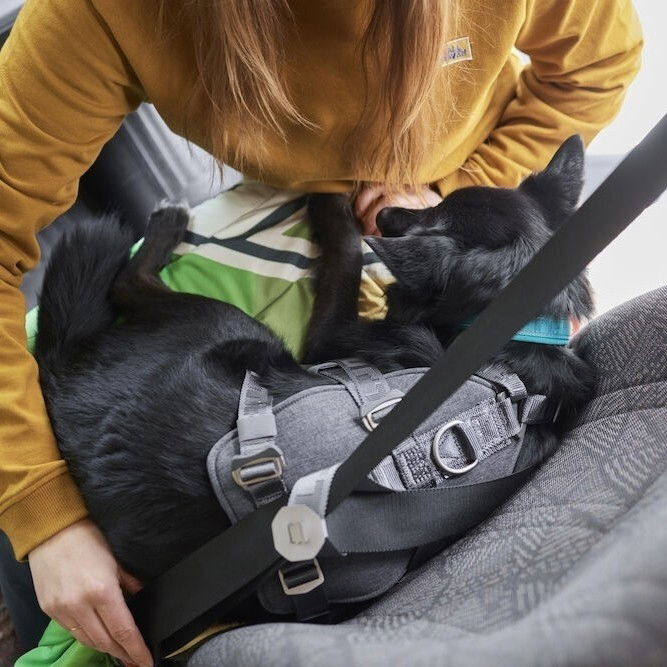 Hurtta Travel Harness ECO karhunvatukka