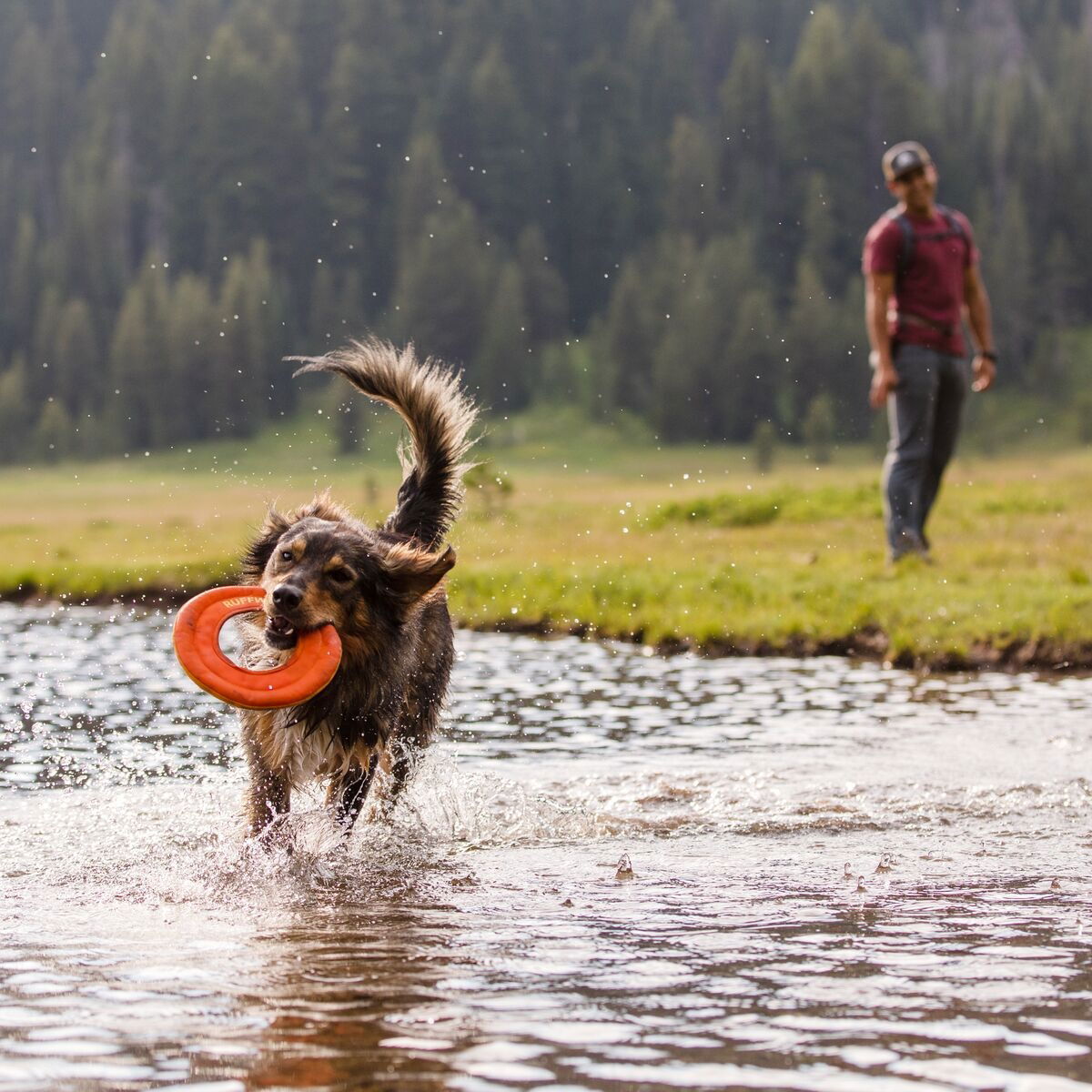 Frisbee Ruffwear Hydro Plane oranssi