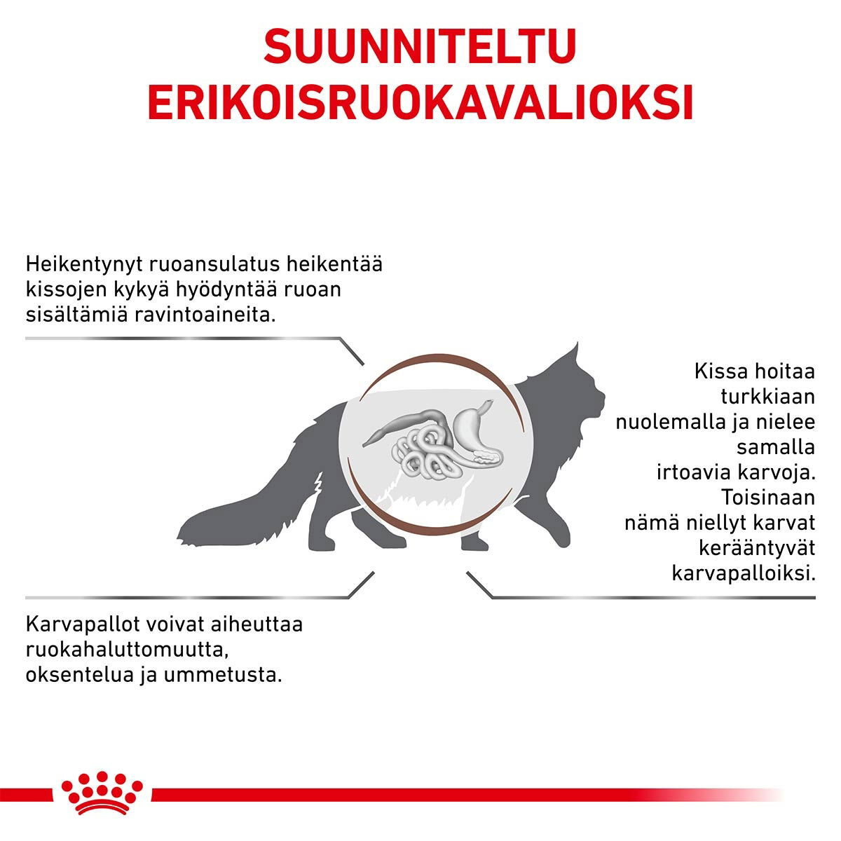 Royal Canin Veterinary Diets Gastrointestinal Hairball kissan kuivaruoka