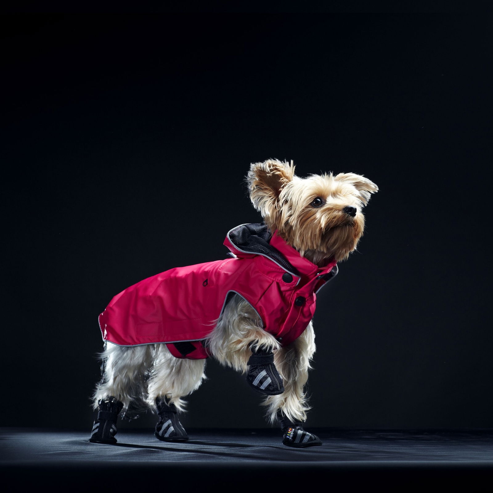 Rukka Step koiran tossut 4 kpl