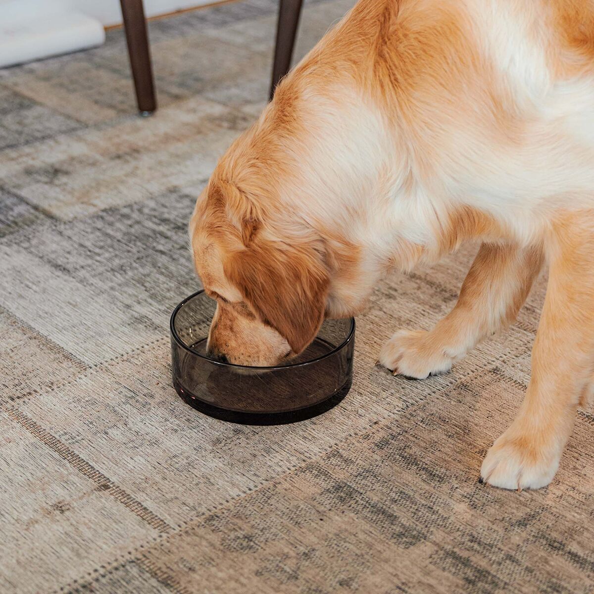 Glass bowl District 70, Dawn Black