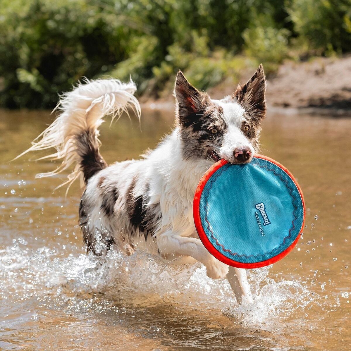 Chuckit MaxGlow Paraflight