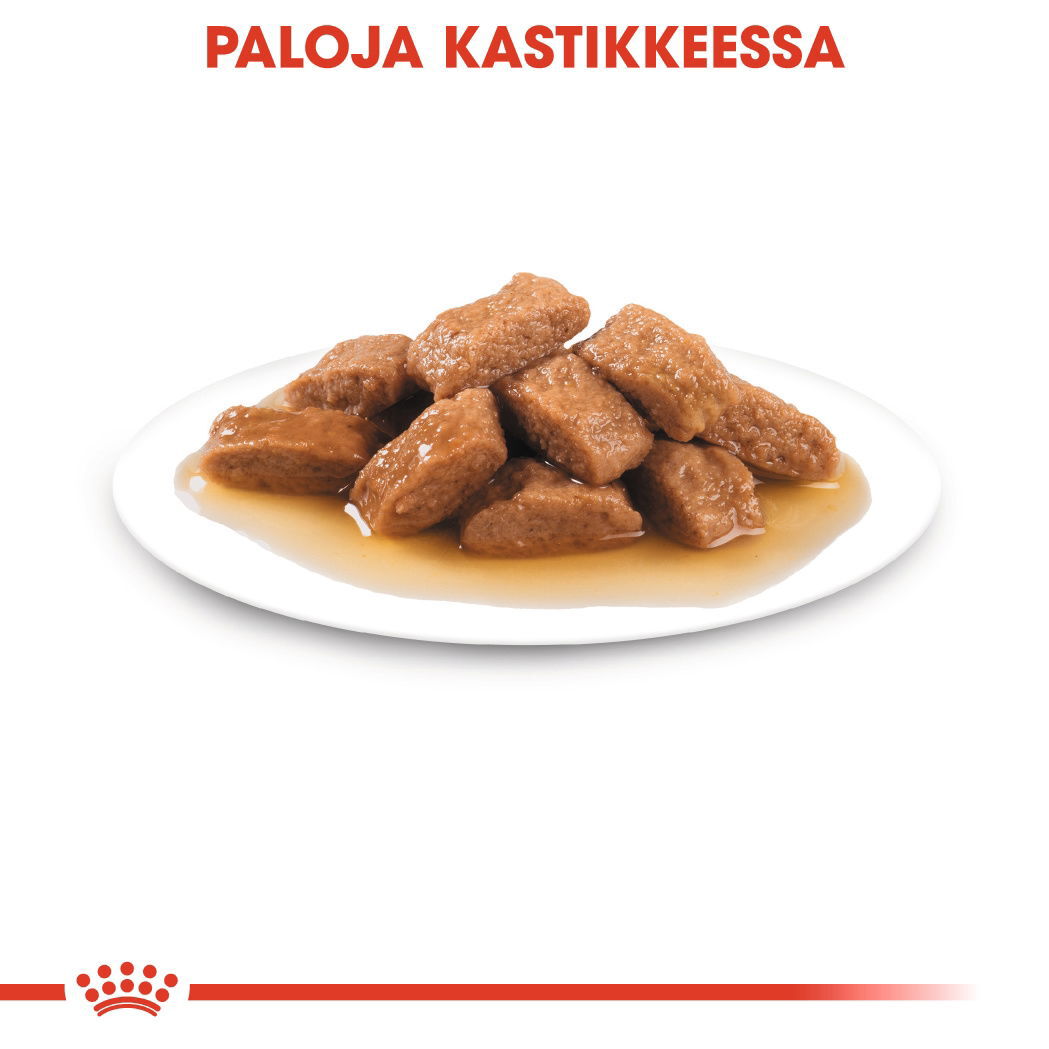 Royal Canin Medium Ageing Gravy koiran märkäruoka