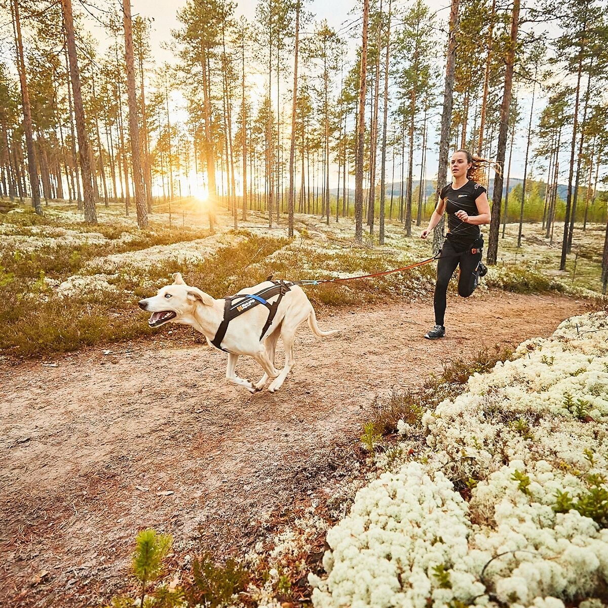 Non-stop Freemotion vetovaljas