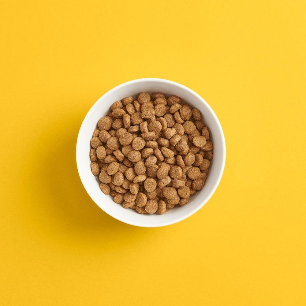 SMAAK aikuisen koiran kanaruoka