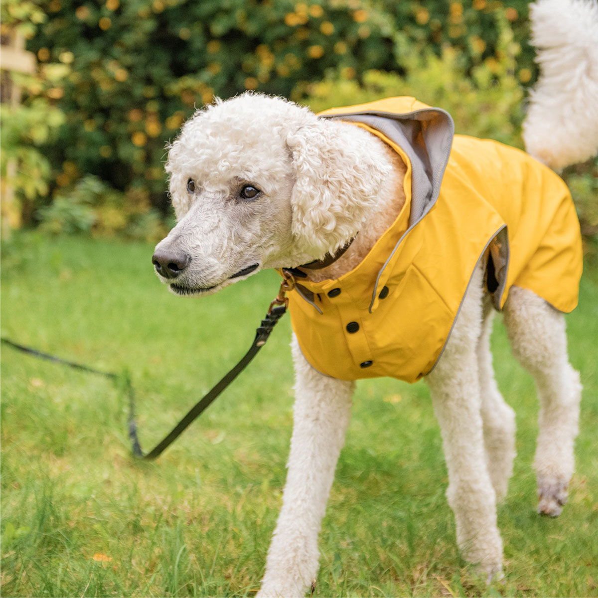 Rukka Stream sadetakki keltainen