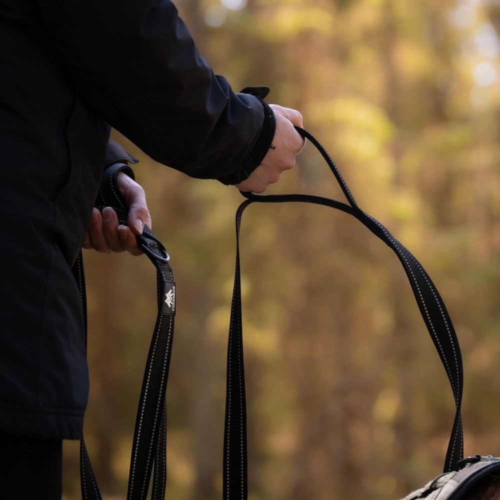 Cerberos talutin musta 3m