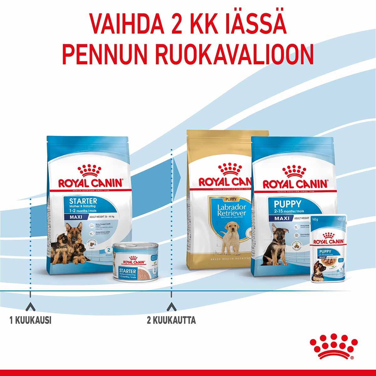 Royal Canin Maxi Starter koiran ja koiranpennun kuivaruoka